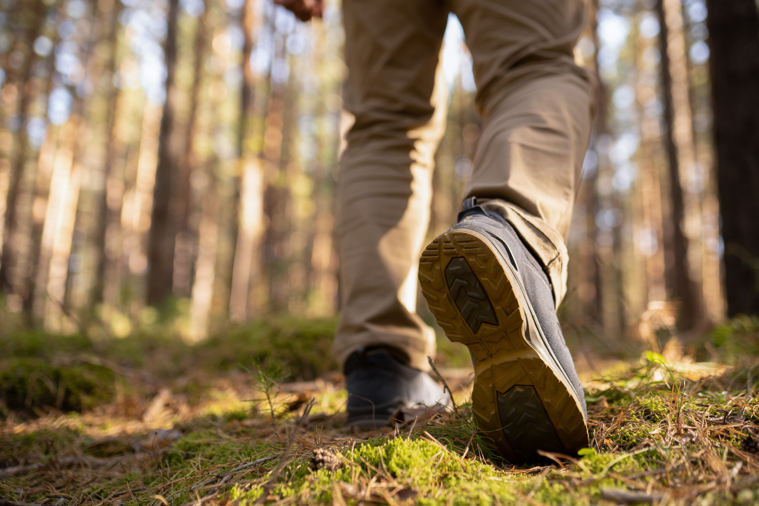 person walking in the woods. speed hiking shoes closeup.